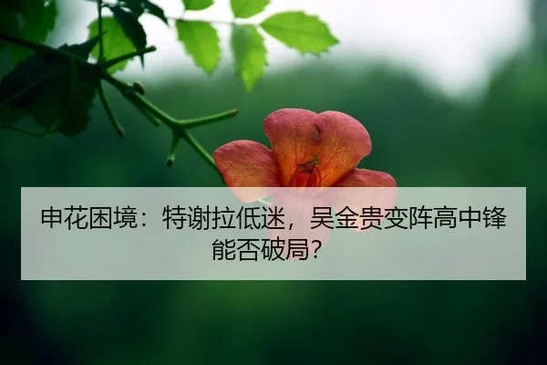 shen-hua-kun-jing-te-xie-la-di-mi-wu-jin-gui-bian-zhen-gao-zhong-feng-neng-fou-po-ju-2-145.jpg