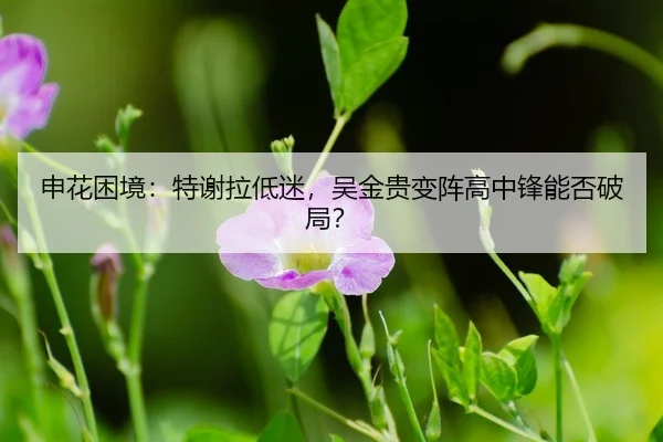 shen-hua-kun-jing-te-xie-la-di-mi-wu-jin-gui-bian-zhen-gao-zhong-feng-neng-fou-po-ju-3-198.jpg
