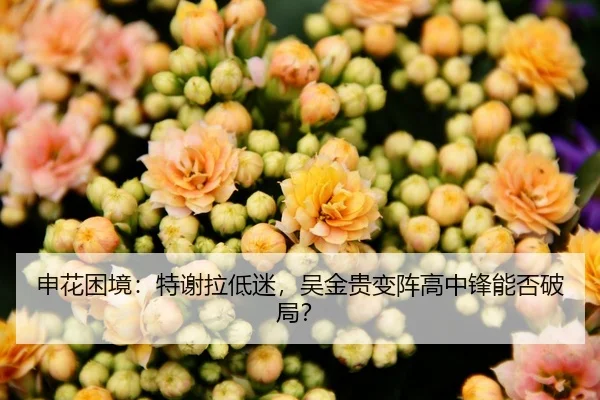 申花困境：特谢拉低迷，吴金贵变阵高中锋能否破局？